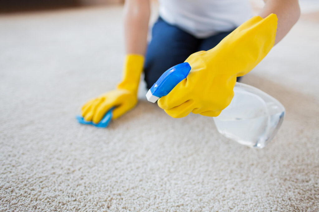 Freshly cleaned carpet in a Palm Coast home illustrating essential cleaning tips.