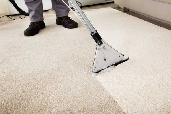 Freshly cleaned carpet in a Palm Coast home representing quarterly carpet cleaning benefits.